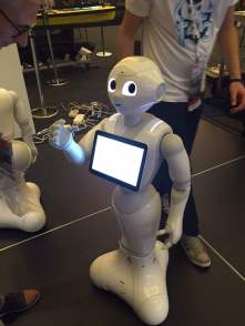 optimizedPepper_Robot